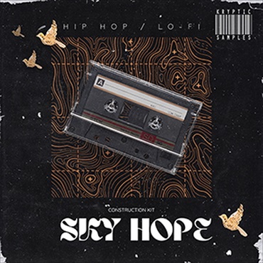 SKY HOPE(オンライン納品)(2時間以内に納品)
