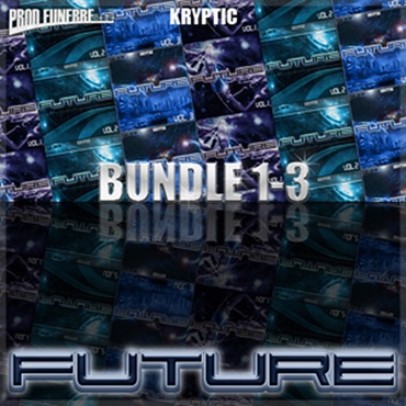 FUTURE BUNDLE(オンライン納品)(2時間以内に納品)