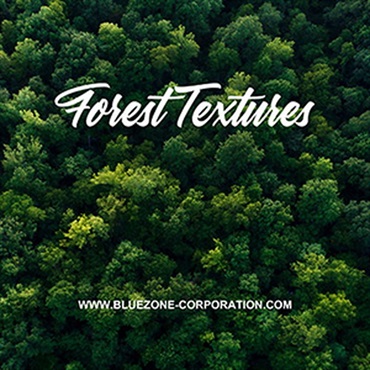 FOREST TEXTURES(オンライン納品)(2時間以内に納品)