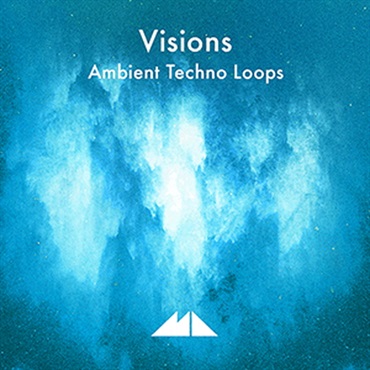 VISIONS(オンライン納品)(2時間以内に納品)