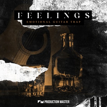 FEELINGS - EMOTIONAL GUITAR TRAP(オンライン納品)(2時間以内に納品)