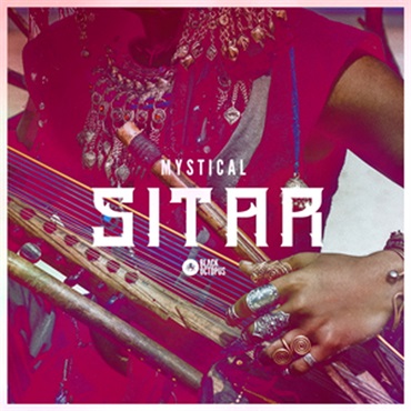 MYSTICAL SITAR(オンライン納品)(2時間以内に納品)