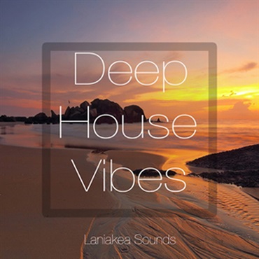 DEEP HOUSE VIBES(オンライン納品)(2時間以内に納品)