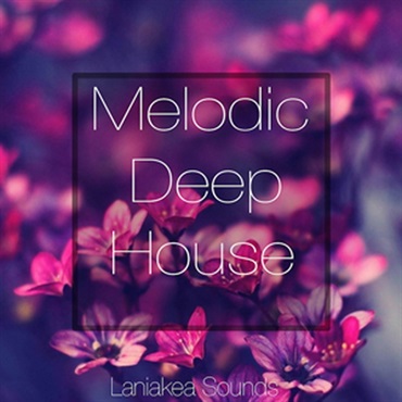 MELODIC DEEP HOUSE(オンライン納品)(2時間以内に納品)
