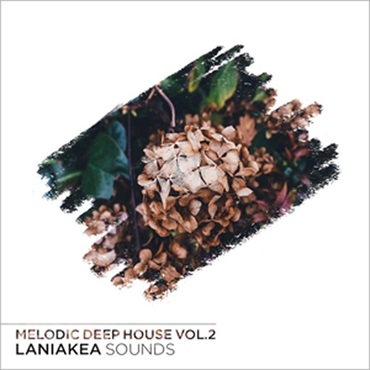 MELODIC DEEP HOUSE VOL 2(オンライン納品)(2時間以内に納品)