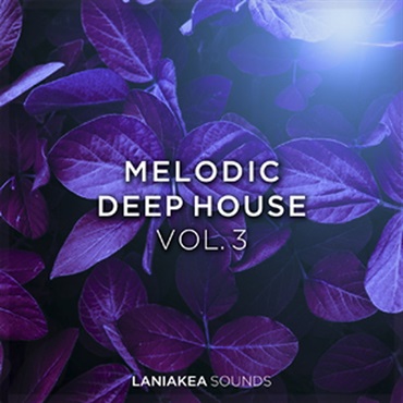 MELODIC DEEP HOUSE VOL 3(オンライン納品)(2時間以内に納品)
