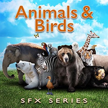 ANIMALS & BIRDS SFX SERIES(オンライン納品)(2時間以内に納品)