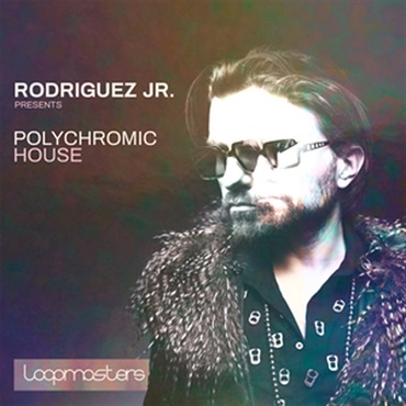 RODRIGUEZ JR. - POLYCHROMIC HOUSE(オンライン納品)(2時間以内に納品)