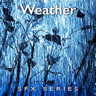 WEATHER SFX SERIES(オンライン納品)(2時間以内に納品)