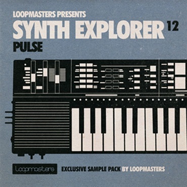 SYNTH EXPLORER PULSE(オンライン納品)(2時間以内に納品)