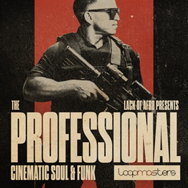 THE PROFESSIONAL - CINEMATIC SOUL & FUNK(オンライン納品)(2時間以内に納品)