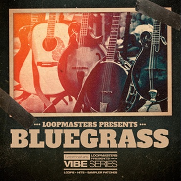 VIBES 14 - BLUEGRASS(オンライン納品)(2時間以内に納品)