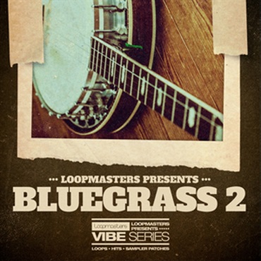 VIBES 16 - BLUEGRASS VOL 2(オンライン納品)(2時間以内に納品)