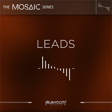 MOSAIC LEADS(オンライン納品)(2時間以内に納品)