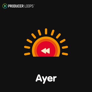 PRODUCER LOOPS AYER(オンライン納品)(2時間以内に納品)