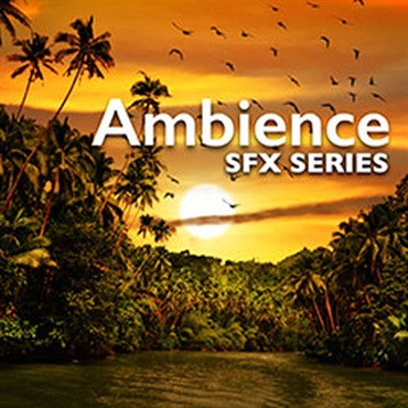 SOUND IDEAS AMBIENCE SFX SERIES(オンライン納品)(2時間以内に納品)