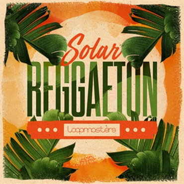 SOLAR REGGAETON(オンライン納品)(2時間以内に納品)