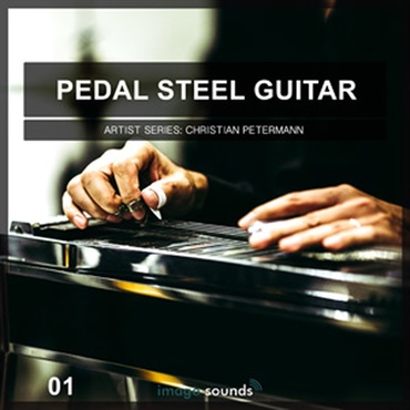 PEDAL STEEL GUITAR 1(オンライン納品)(2時間以内に納品)