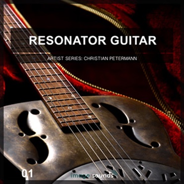 RESONATOR GUITAR 1(オンライン納品)(2時間以内に納品)