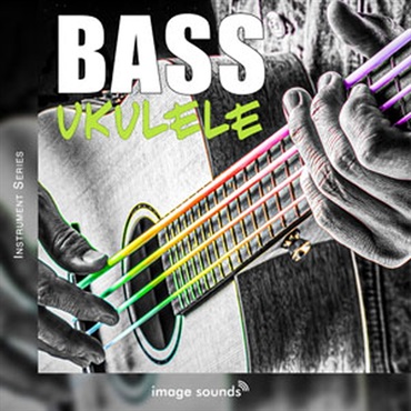 BASS UKULELE 1(オンライン納品)(2時間以内に納品)