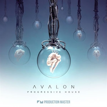 AVALON - PROGRESSIVE HOUSE(オンライン納品)(2時間以内に納品)