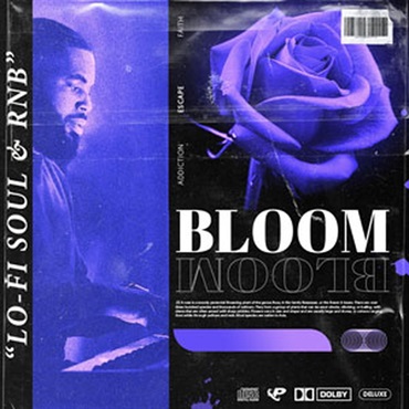BLOOM(オンライン納品)(2時間以内に納品)