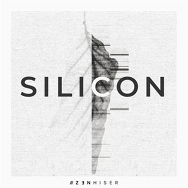 SILICON(オンライン納品)(2時間以内に納品)