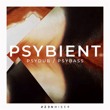 PSYBIENT(オンライン納品)(2時間以内に納品)