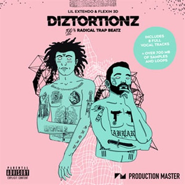 DIZTORTIONZ(オンライン納品)(2時間以内に納品)