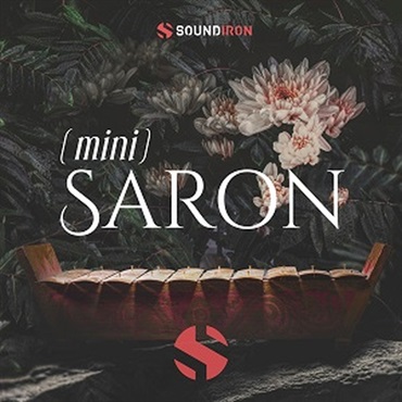 MINI SALON(オンライン納品)(2時間以内に納品)