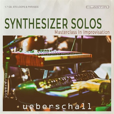 SYNTHESIZER SOLOS(オンライン納品)(2時間以内に納品)