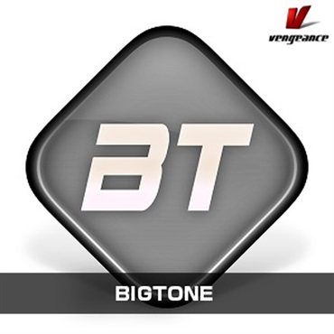 BIGTONE(オンライン納品)(2時間以内に納品)
