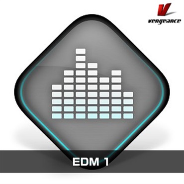 EDM 1(オンライン納品)(2時間以内に納品)