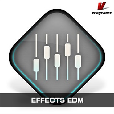 EFFECTS EDM(オンライン納品)(2時間以内に納品)