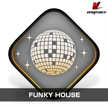 FUNKY HOUSE(オンライン納品)(2時間以内に納品)