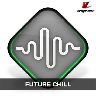 FUTURE CHILL(オンライン納品)(2時間以内に納品)