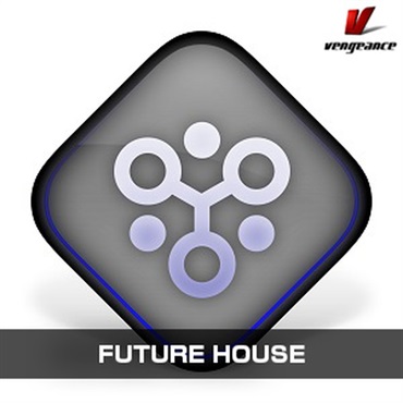 FUTURE HOUSE(オンライン納品)(2時間以内に納品)