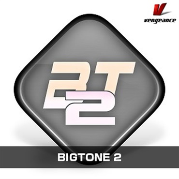BIGTONE 2(オンライン納品)(2時間以内に納品)