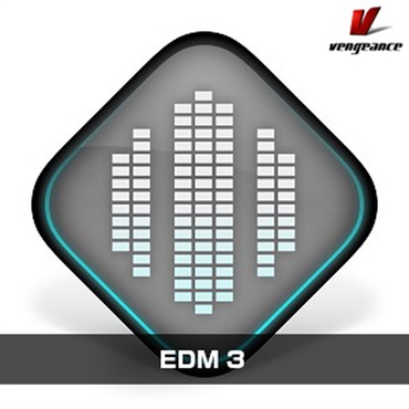 EDM 3(オンライン納品)(2時間以内に納品)