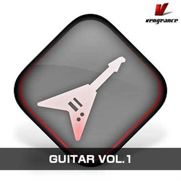 GUITARS VOL.1(オンライン納品)(2時間以内に納品)