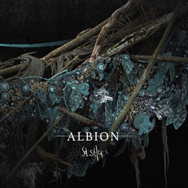 ALBION SOLSTICE(オンライン納品)(2時間以内に納品)