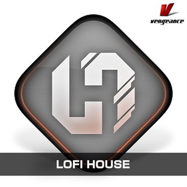 LOFI HOUSE(オンライン納品)(2時間以内に納品)