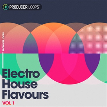 ELECTRO HOUSE FLAVOURS VOL 1(オンライン納品)(2時間以内に納品)