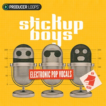 STICK UP BOYS ELECTRONIC POP VOCALS VOL 4(オンライン納品)(2時間以内に納品)