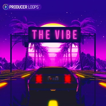 PRODUCER LOOPS THE VIBE(オンライン納品)(2時間以内に納品)