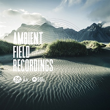 AMBIENT FIELD RECORDINGS BY AK(オンライン納品)(2時間以内に納品)