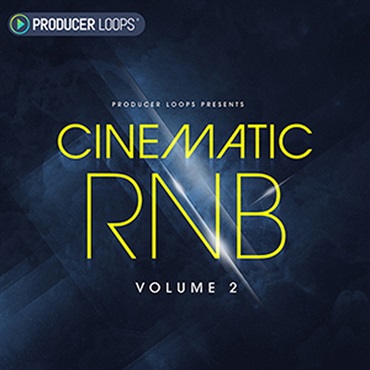 PRODUCER LOOPS CINEMATIC RNB VOL 2(オンライン納品)(2時間以内に納品)