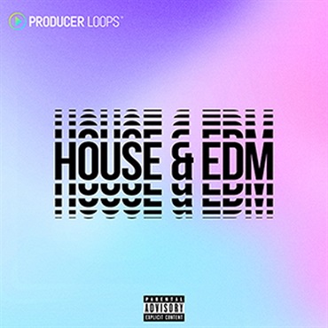 HOUSE EDM(オンライン納品)(2時間以内に納品)