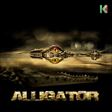 ALLIGATOR(オンライン納品)(2時間以内に納品)