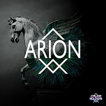 ARION(オンライン納品)(2時間以内に納品)